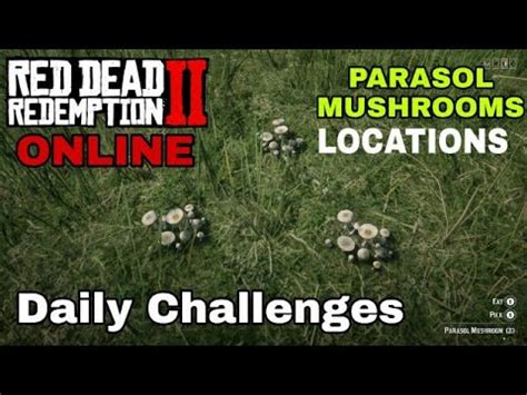 Daily Challenges Parasol Mushrooms Locations in Red Dead Redemption 2 ...