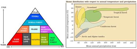 Biomes or Terrestrial Ecosystems and Aquatic Ecosystems - PMF IAS