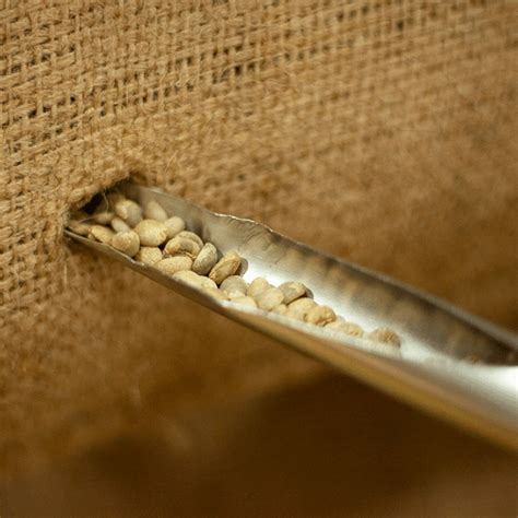 Café En Poudre Vous Saurez Tout Sur Le Café Moulu