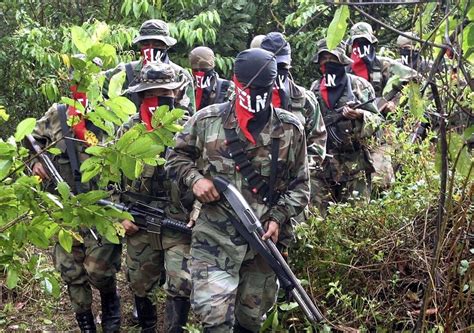 Ascienden A Siete Los Guerrilleros Del Eln Muertos En Un Enfrentamiento