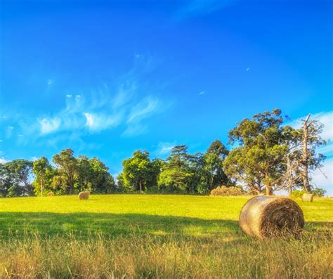 Indice Des Fermages Fermage Et Baux Agriculture For T