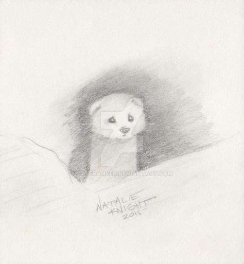 Ermine Sketch 2 By Lytedancer On Deviantart