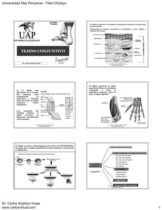 TEJIDO CONJUNTIVO PDF