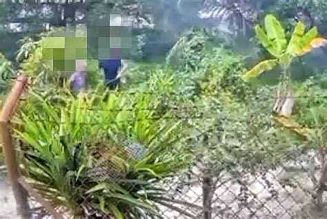 Polis Tahan Pemuda Tular Pukul Warga Emas Sinar Harian