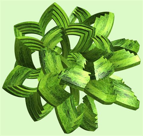 Free Images Structure Texture Leaf Flower Pattern Food Green