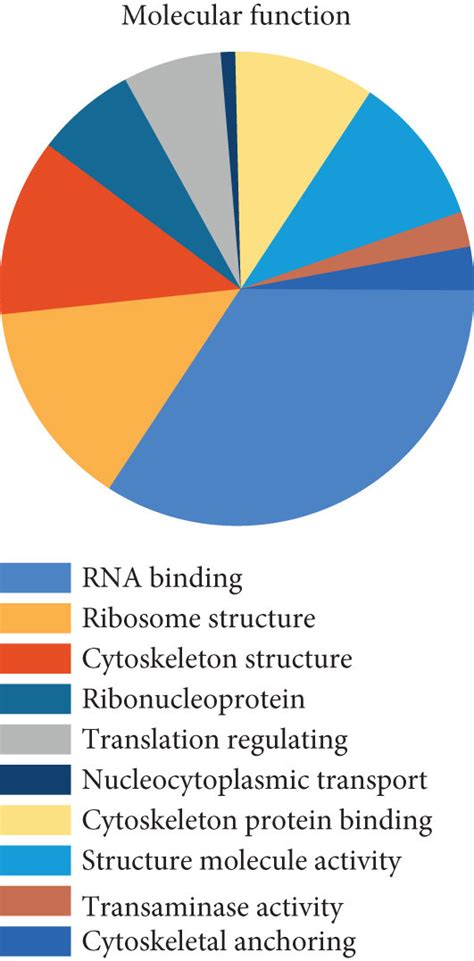 Identification Of Eef D Interacting Proteins A Immunoprecipitation