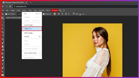 How To Remove Background In Photopea A Step By Step Guide