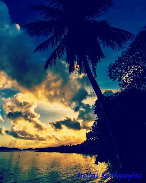 A Magical Sunset 🌇 On The Beach 🌊 With Cloudy ☁ Sky And Palm 🌴 Tree 👌 💖