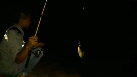 Mancing Di Sarang Ikan Baung Malam Hari Youtube