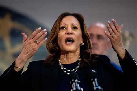 Kamala Harris Vs Donald Trump Polls What The Presidential Campaigns