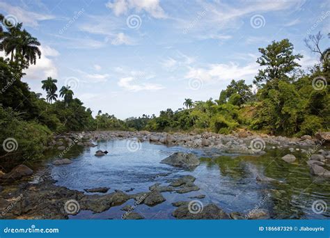 River Duaba Baracoa Cuba Stock Image CartoonDealer 59225053