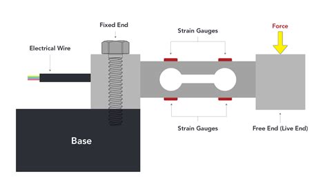 How Does A Load Cell Work ANYLOAD Weigh Measure