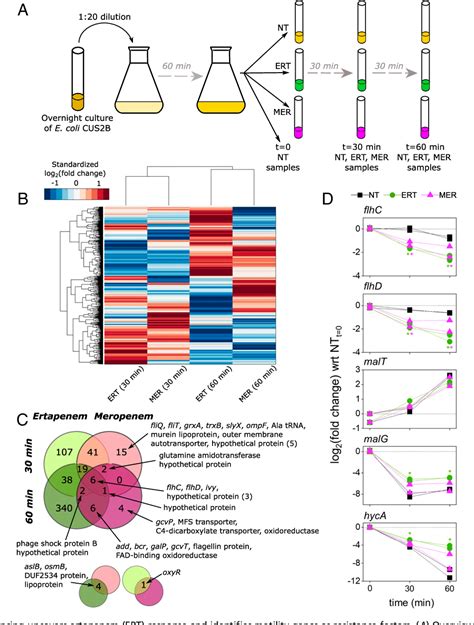 Figure 2 From Transcriptome Based Design Of Antisense Inhibitors