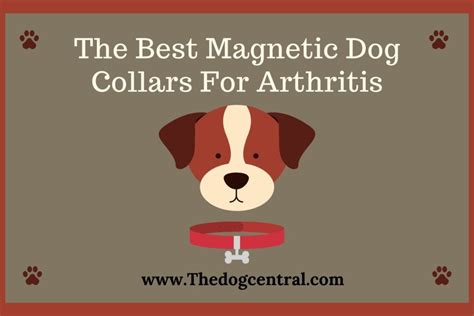 The Best Magnetic Dog Collars For Arthritis (#3 Surprised Me)