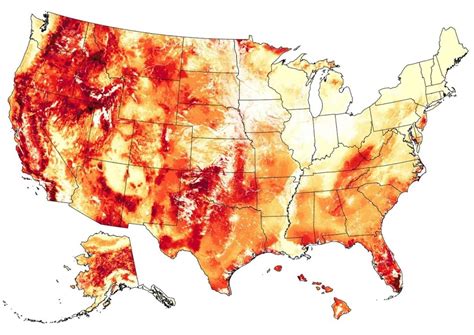 New Map Reveals High Wildfire Risks For Florida Amid Heat Wave