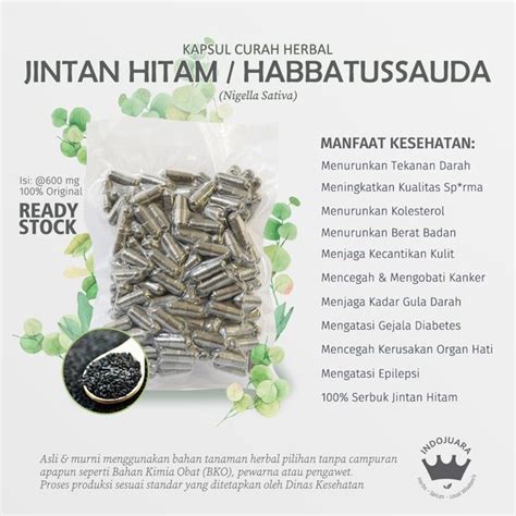 Jual Jintan Hitam Habbatussauda Kapsul Curah Herbal Mg