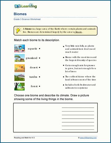 Biome Worksheets For Kids