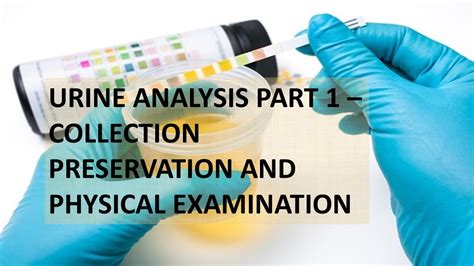 URINE ANALYSIS PART 1 COLLECTION PRESERVATION AND PHYSICAL