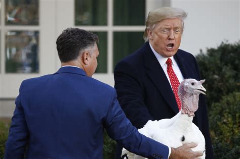 Trump Jives With Turkeys Over Impeachment At Annual Pardoning The