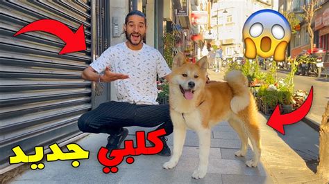 وأخيرا اشتريت كلب جديد 🔥🐕 من بعد ماتسرق ليا كلبي في دولة جديدة 😱💔 Youtube