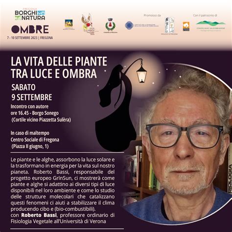 La Vita Delle Piante Tra Luce E Ombra