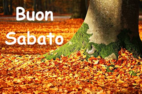 Buon Sabato Autunnale Immagini Buongiorno Per Sabati D Autunno