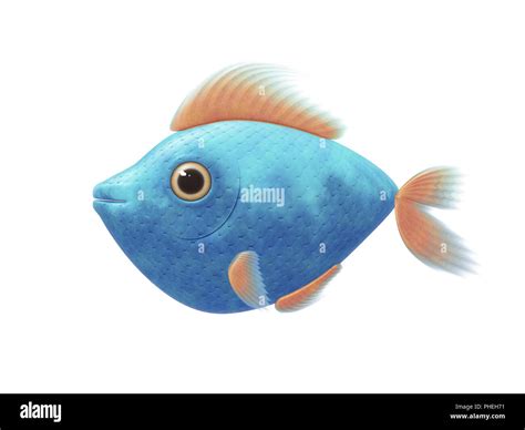 turquoise fish  res stock photography  images alamy