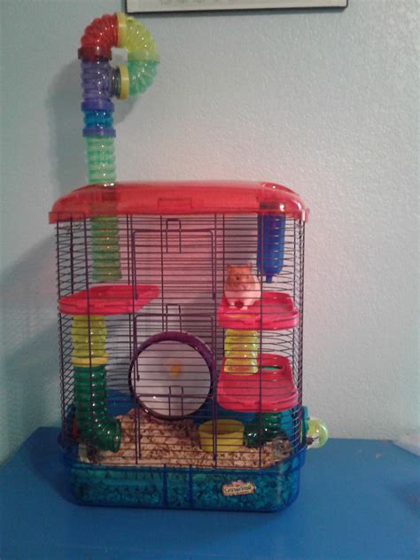 √無料でダウンロード！ hamster cages ideas 194492-Hamster cage ideas ikea