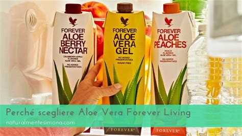 Perch Scegliere Aloe Vera Forever Living Naturalmentesimona