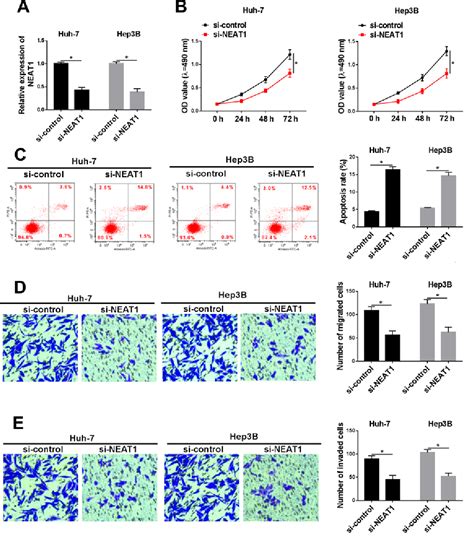 Figure From Silencing Of Long Non Coding Rna Neat Inhibits