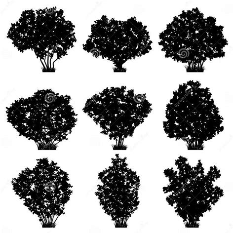 Shrubs Vector Silhouettes Stock Vector Illustration Of Garden 29548841