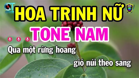 Karaoke Hoa Trinh N Tone Nam E Nh C S Ng Beat M I Karaoke