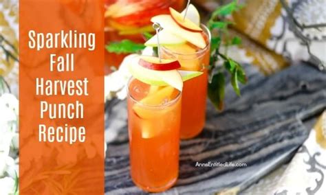 Sparkling Fall Harvest Punch Recipe