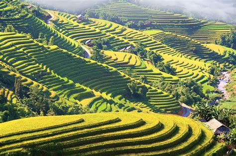 Rice Terraces Vietnam - Best Places to visit terrace rice paddies ...