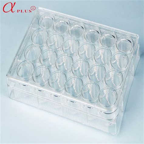 China Lab Medical Plastic Steril Disposable Well Tissue Cell Culture