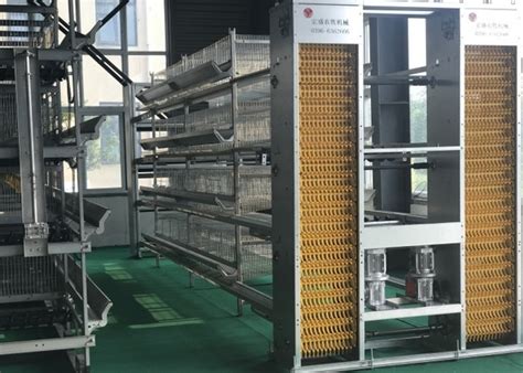 Commercial Automatic Poultry Feeder System Automatic Poultry Feeder System