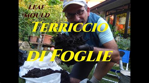 Terriccio Di Foglie Il Concime Organico Migliore Come Si Fa A Cosa