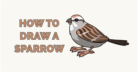 How To Draw A Sparrow Really Easy Drawing Tutorial