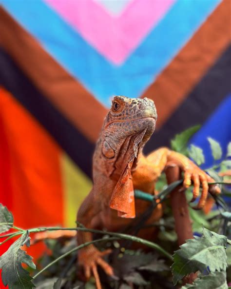 Visit - We love seeing Kankakee County through your lens! Keep snapping