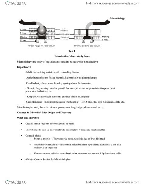 Biol Quiz Microbiology Test Scored Oneclass