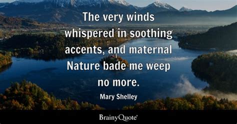 Mary Shelley Quotes - BrainyQuote