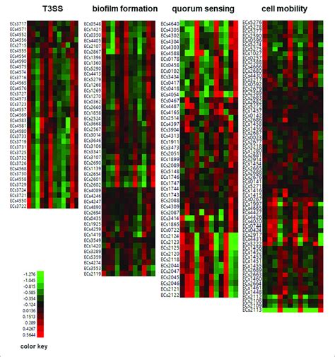 Heat Map Of Differentially Expressed E Coli Genes Associated With Download Scientific