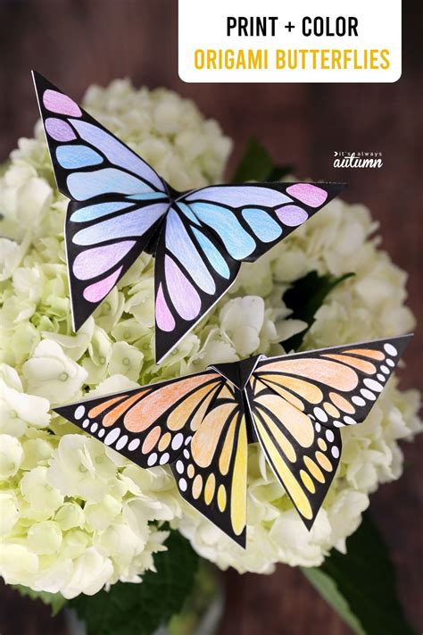 Colorful Origami Butterfly Templates