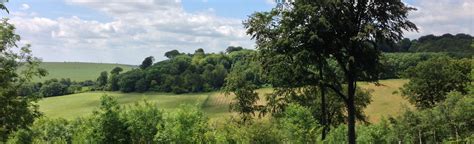 Ashridge Forest Circular, Hertfordshire, England - 128 Reviews, Map ...