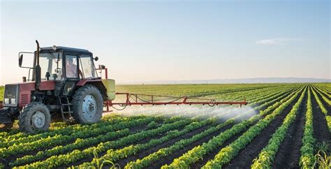 Aprende Todo Sobre Las Caracter Sticas De La Agricultura