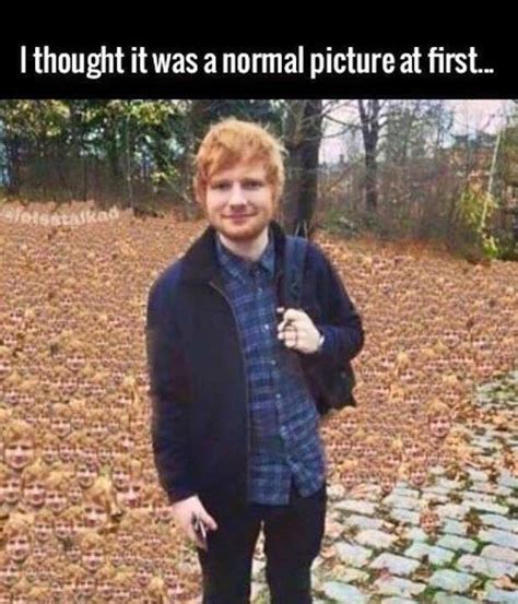 Ed Sheeran - Meme by Xyda13 :) Memedroid