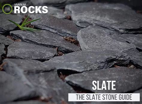 Slate Rock "Slate Stone" Aquascape | Hardscaping Guide