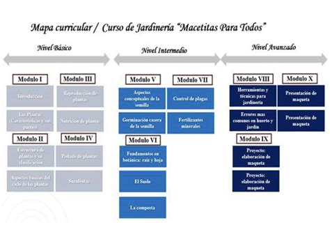 Mapa curricular rompecabezas en línea