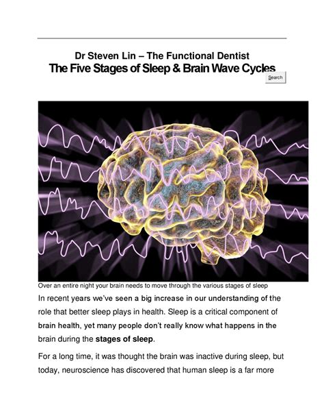 The Five Stages of Sleep & Brain Wave Cycles | Exercises Neuroscience ...