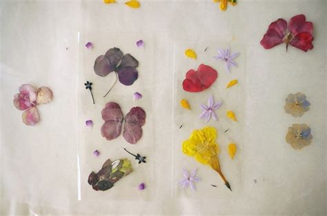 Diy Pressed Flower Laminated Bookmarks · How To Make A Bookmark · Art